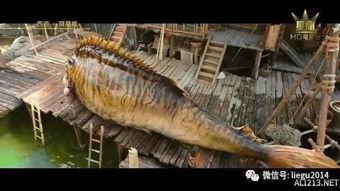 国产特效师做的鳄鱼视频,鳄鱼视频再现惊心动魄