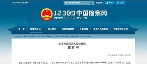 网盘国产男同志视频资源,国产男同志视频资源盘点