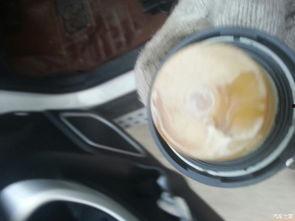 让人放心的国产车视频,让人安心信赖的驾驶之旅