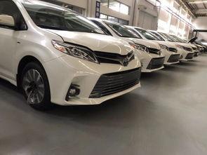 最新国产塞纳行情走势视频,最新动态解析与趋势展望